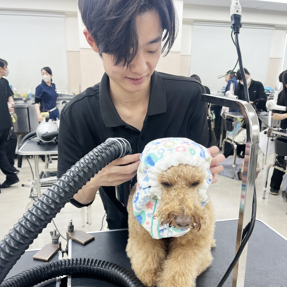 先生手作りヘアバンド！
